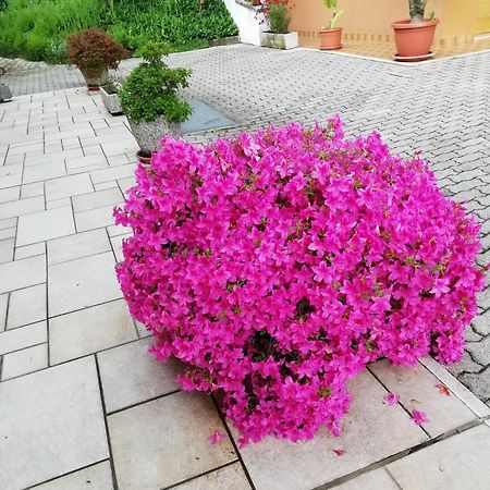 Alloggio Cristina Valdobbiadene Εξωτερικό φωτογραφία