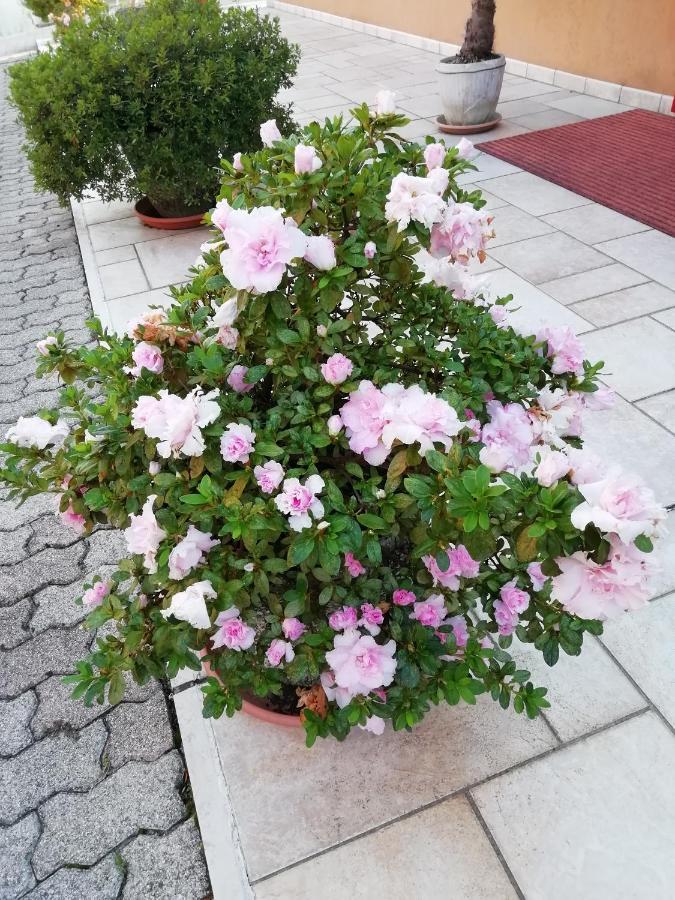 Alloggio Cristina Valdobbiadene Εξωτερικό φωτογραφία