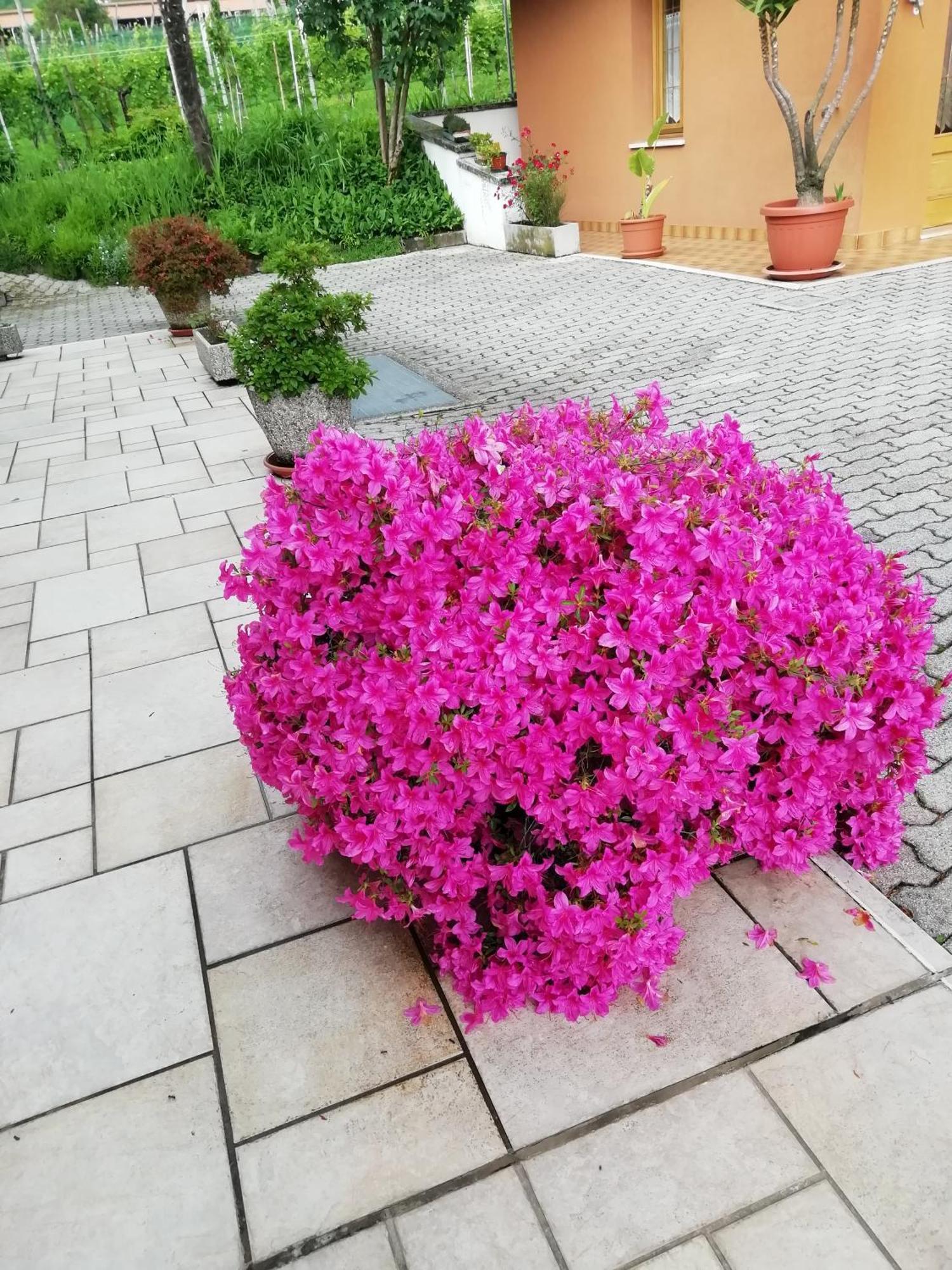 Alloggio Cristina Valdobbiadene Εξωτερικό φωτογραφία